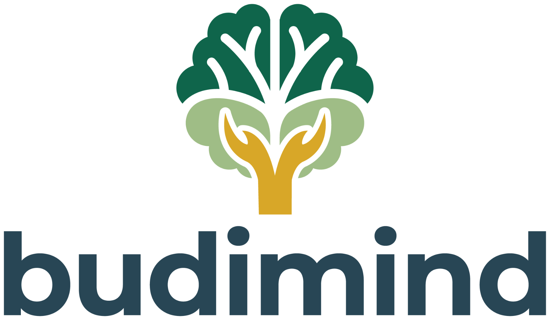 Logo rasmi BudiMind